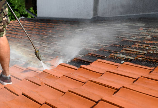 Best Pressure Washing Estimates  in Miles, TX